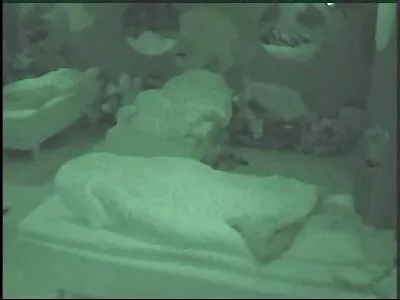 Casal animado video porno nacional amador europeu faz sexo apaixonado ao ar livre no terraço