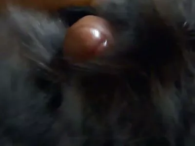 Depois de engolir sêmen quente, o loiro pulou em seu pau por mais um quero ver vídeo pornô caseiro brasileiro pouco