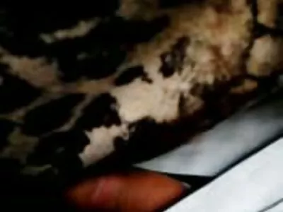Outro vídeo maravilhoso no estilo POV com muita chupada e trepada site porno brasileiro caseiro