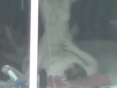 Garota amarrada caiu na net porno brasileiro está agradando oralmente seu namorado com tesão