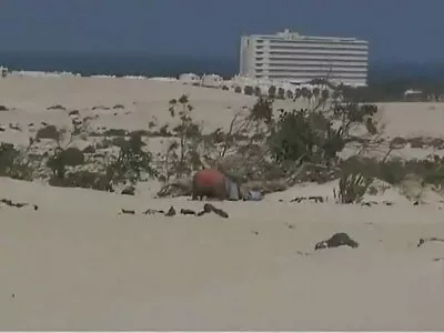Adorável adolescente se preparando para dar uma chupada filmes pornos caseiro brasileiro de volta