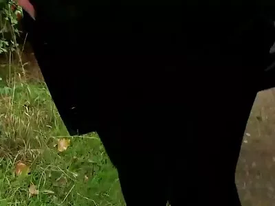 A estrela pornográfica gostosa está sendo espancada por este garanhão de pau ver videos de sexo amador nacional grande